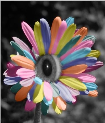 Creation of Eye Bloom: Step 3